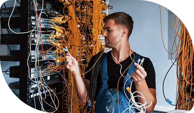 network-complexity-spot network-complexity-spot